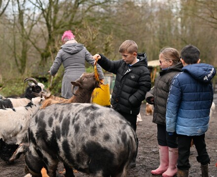 Stonebroom primary nursery school 58