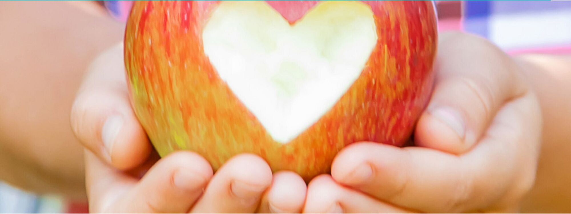 Header Image 1